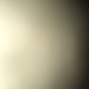 Meet your Posher, Bill